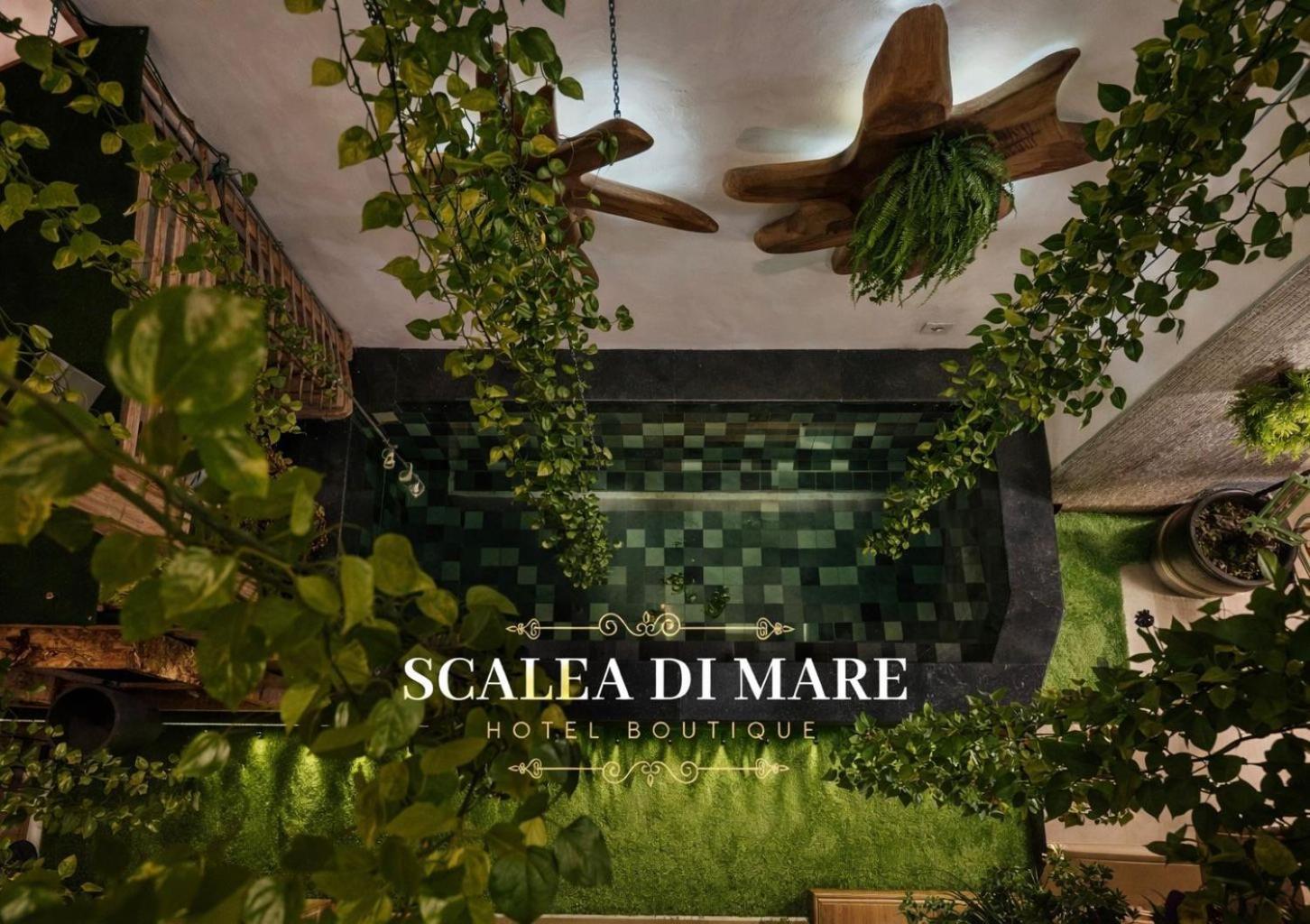 Scalea Di Mare Hotel