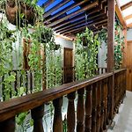 Scalea Di Mare Hotel