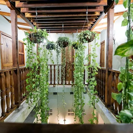 Scalea Di Mare Hotel