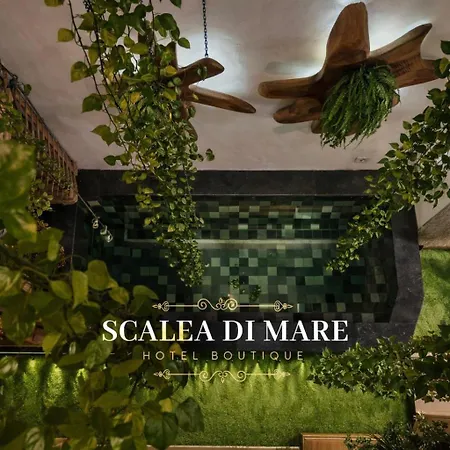Scalea Di Mare Hotel