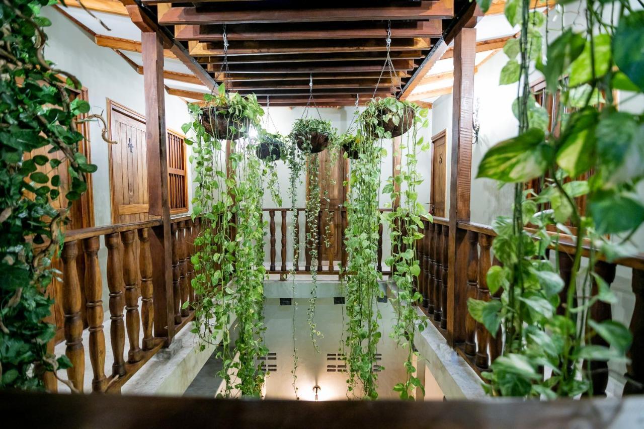 Scalea Di Mare Hotel